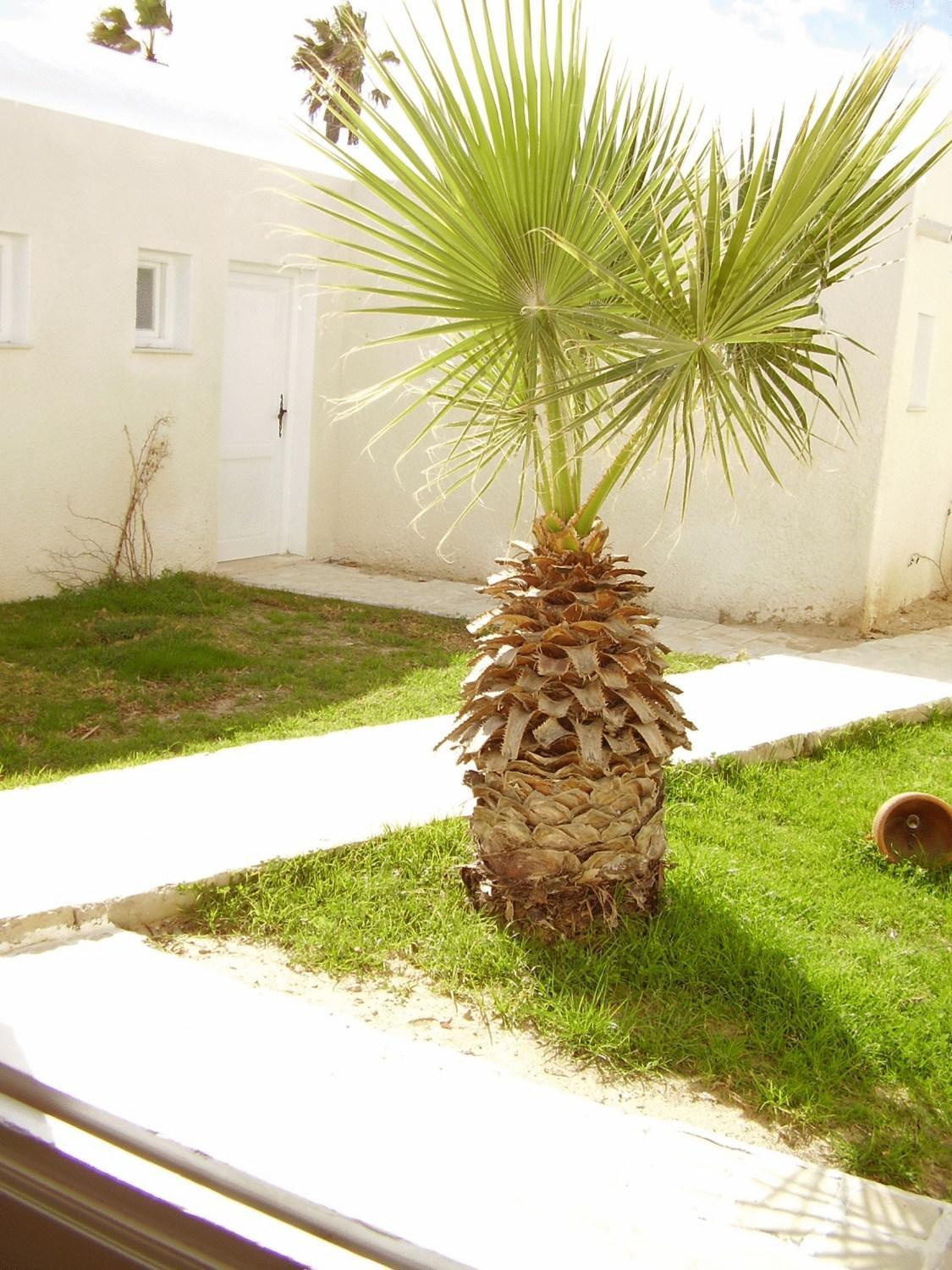Hotel El Andalous Soliman Zewnętrze zdjęcie